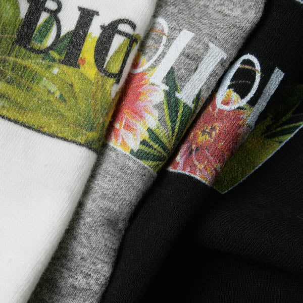 S/SL ラフィー天竺TEE (MEXICAN GARDEN)