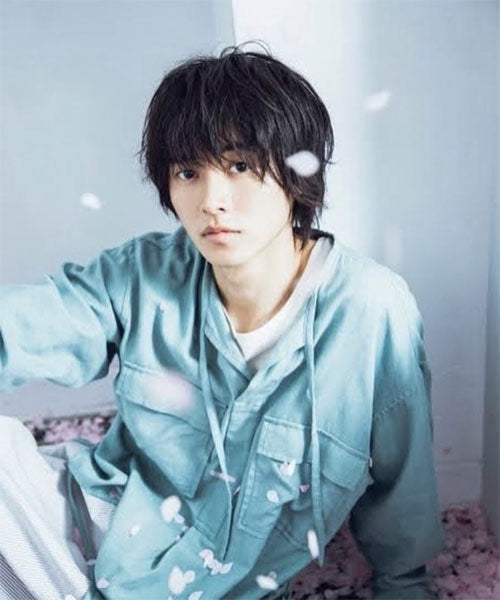 C/Wビエラ プルオーバーシャツL/S