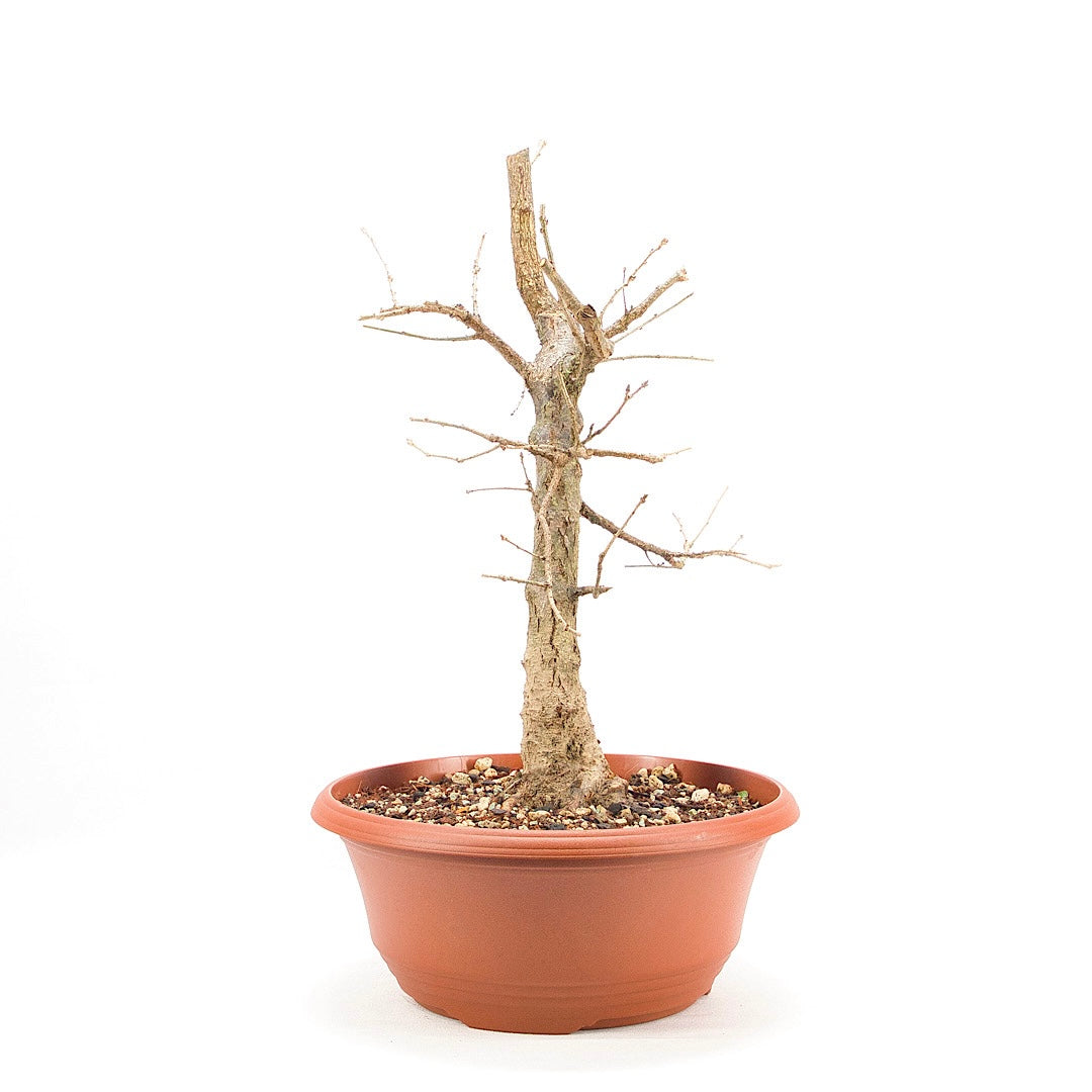 Draping Extra Over C/N Pullover