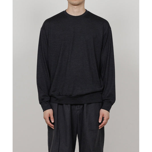  CREW NECK L/S TEE SUPER100s WASHABLE WOOL JERSEY  