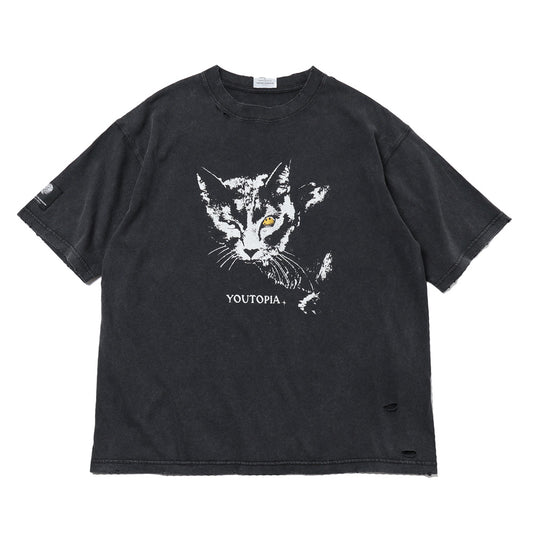  CAT T-shirts  