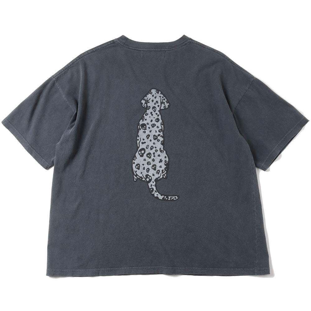 HARD SP加工20/-天竺BIGサイズT (NO BODY)