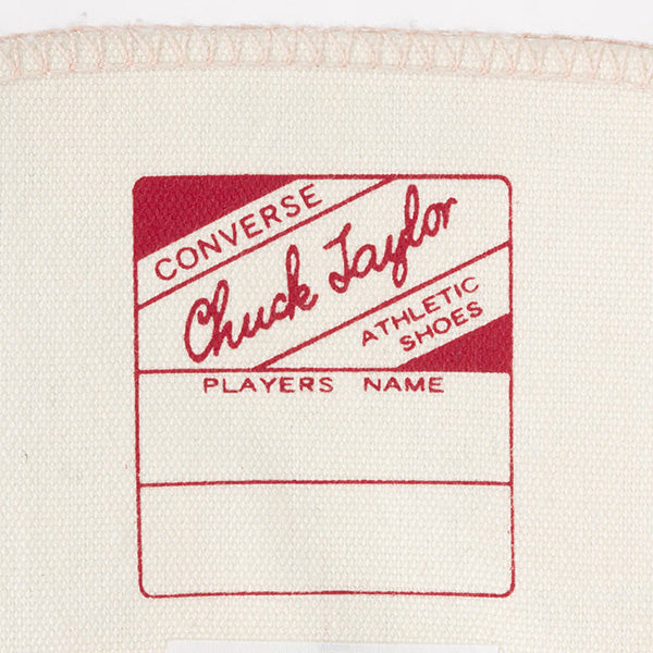 CHUCK TAYLOR CANVAS HI(MULTI)
