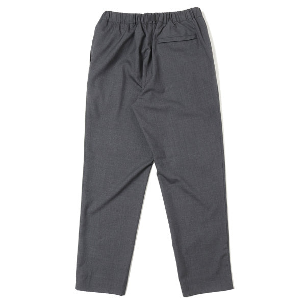 TRUCK PANTS PATAGONIA ORGANIC WOOL RIPSTOP